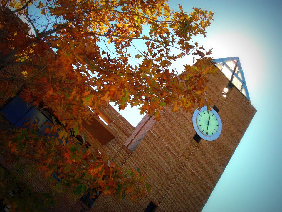 379563_307974962568314_867773920_n